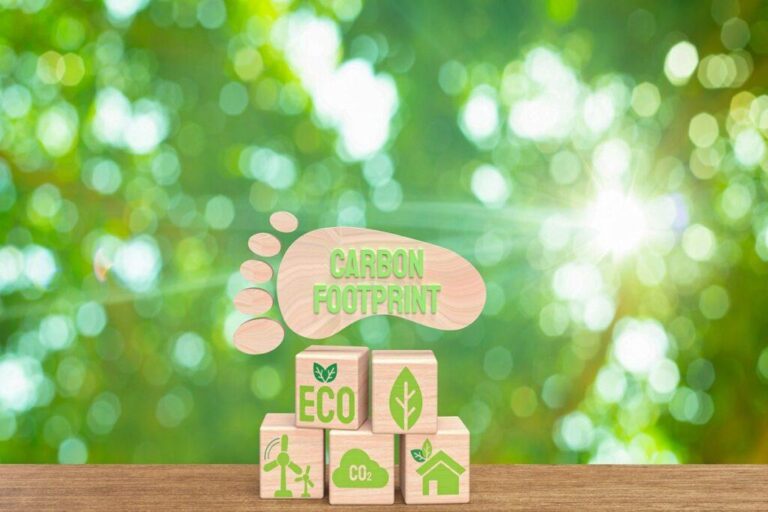 carbon footprint